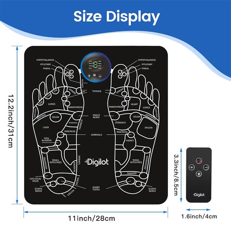 Complete EMS Recovery System